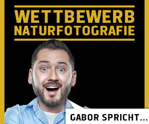 Gabor spricht… // Wettbewerb Naturfotografie
