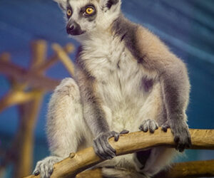 Von Berlin nach Hamburg