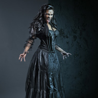 KOMBI WORKSHOP SPEZIAL