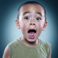 Onlineschulung „Photographer“